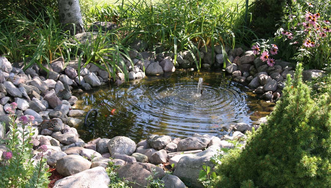 Miniteich im Garten planen und gestalten  Reader's Digest