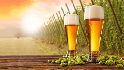 Was Bier und Cannabis gemeinsam haben