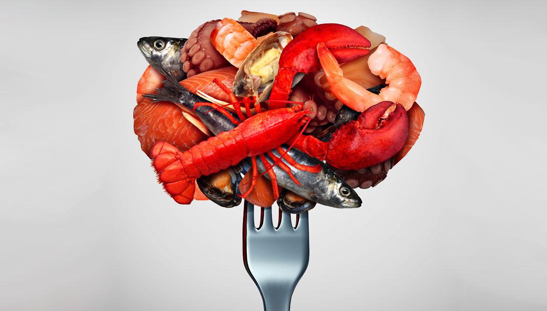 Wie koche ich Fisch und Schalentiere? – Reader's Digest