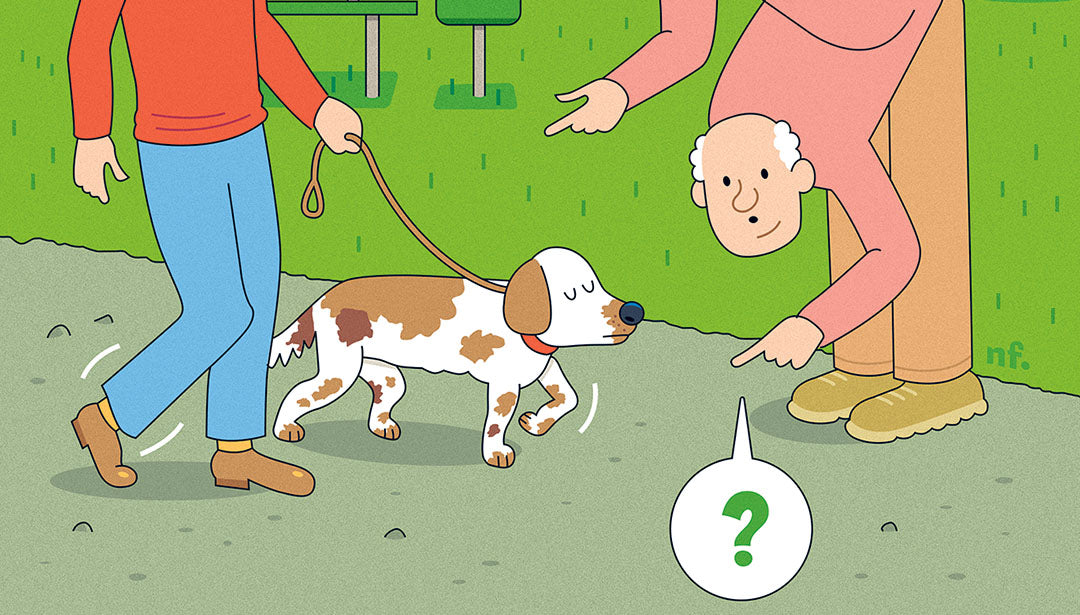 Illustration: Ein Mann geht mit seinem Hund im Park spazieren. Ein älterer Mann beugt sich zu dem Hund hinunter.