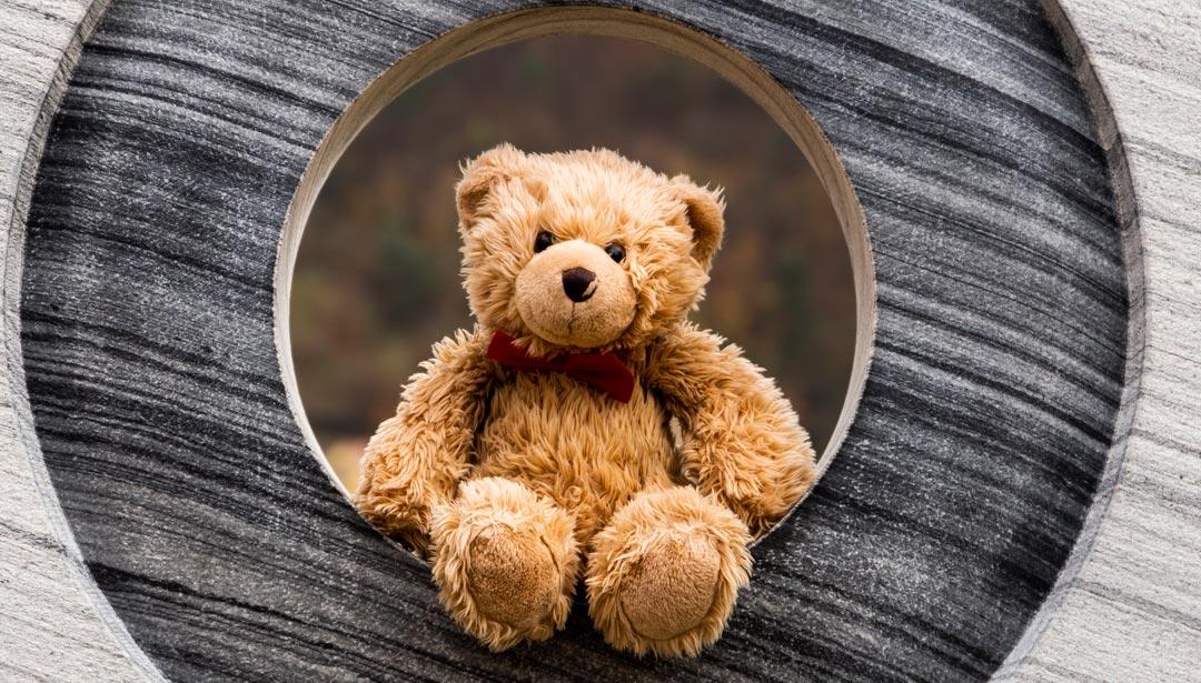 Heißt Es Der, Die Oder Das Teddybär? – YWOJ
