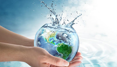 Wie viel Wasser braucht man zum Leben?