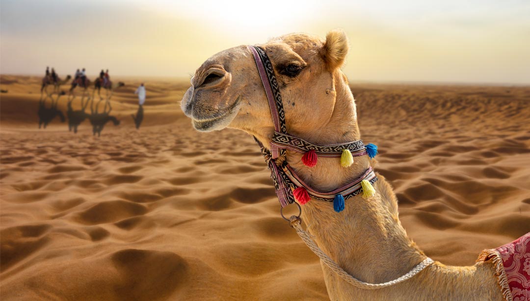 © istockfoto.com / I love takeing photos and i think that is a really great opportunity for me to share them