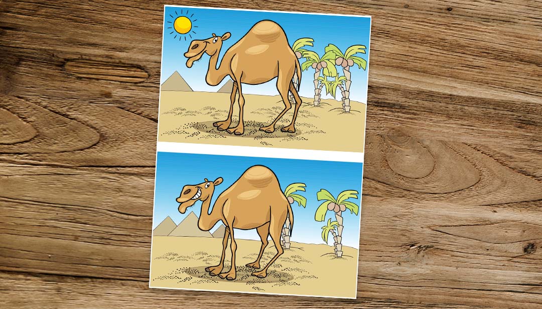 Online-Spiel: Fehlersuche im Bild