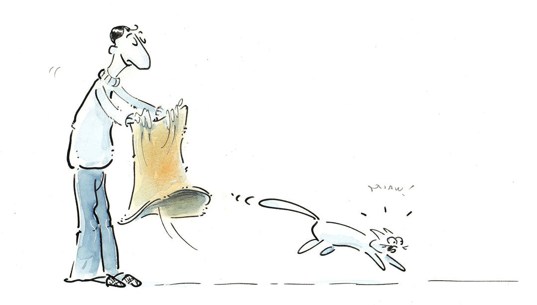 Die Katze Aus Dem Sack Lassen www.readersdigest.de