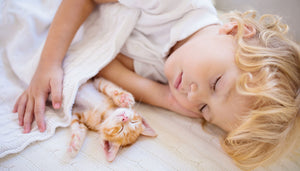 © iStockfoto.com / FamVeld