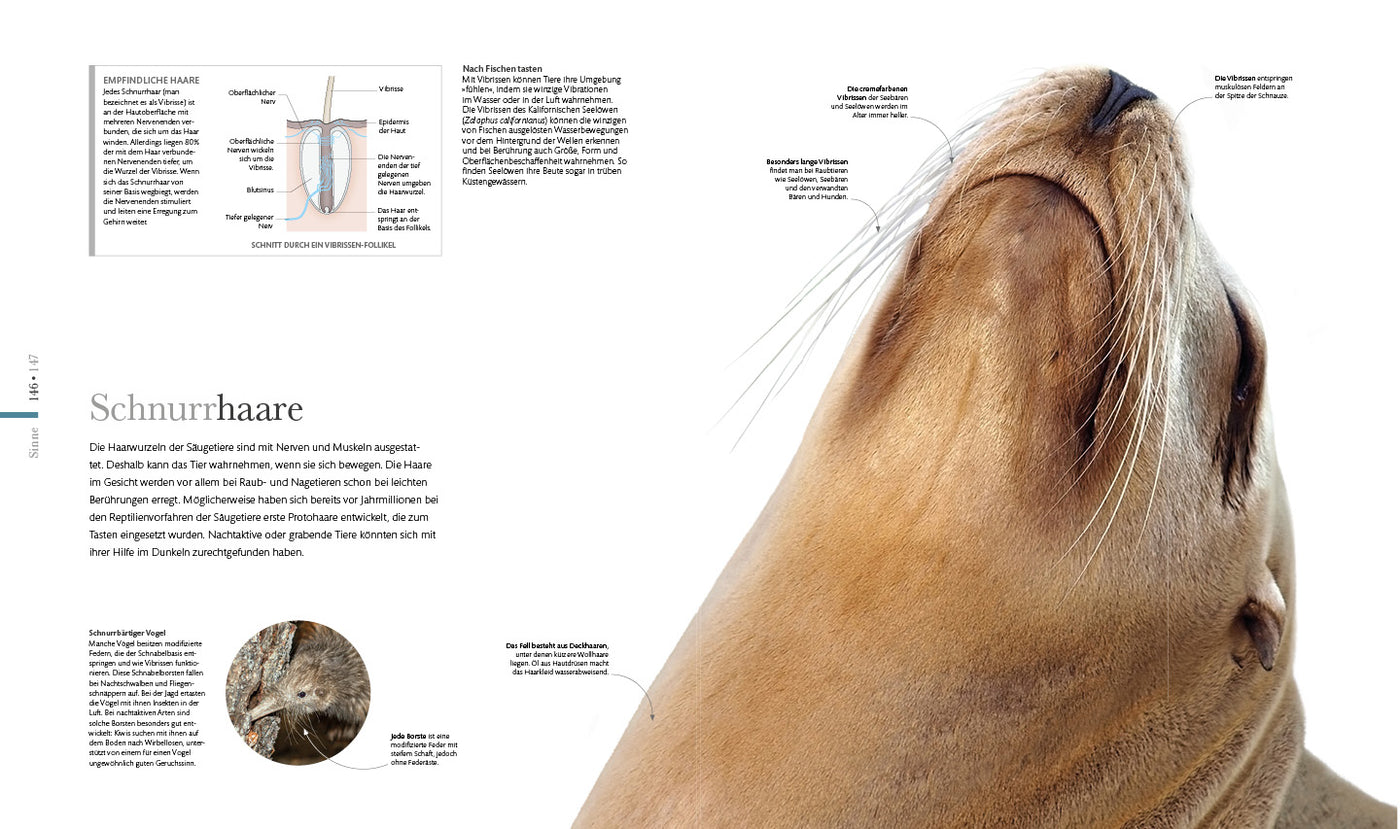 Die fantastische Welt der Tiere