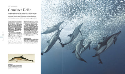 Die fantastische Welt der Tiere