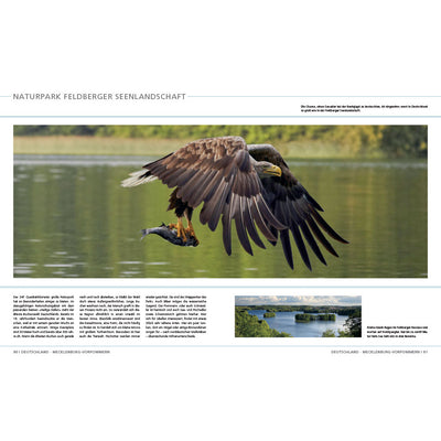 Die letzten Wildnisse in Deutschland, Österreich und der Schweiz