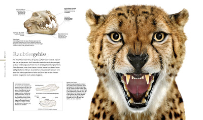 Die fantastische Welt der Tiere
