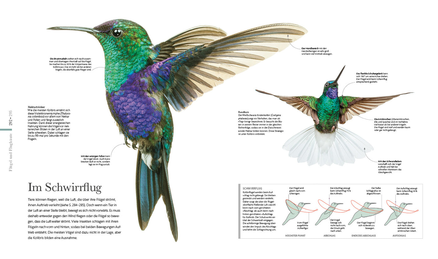 Die fantastische Welt der Tiere