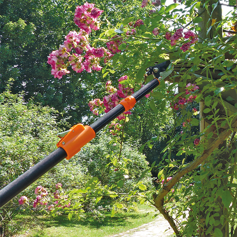 Rosenschere teleskopierbar