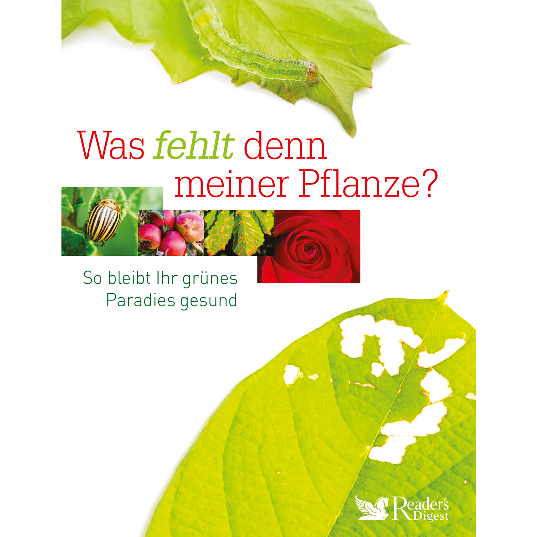 Was fehlt denn meiner Pflanze? – Reader's Digest