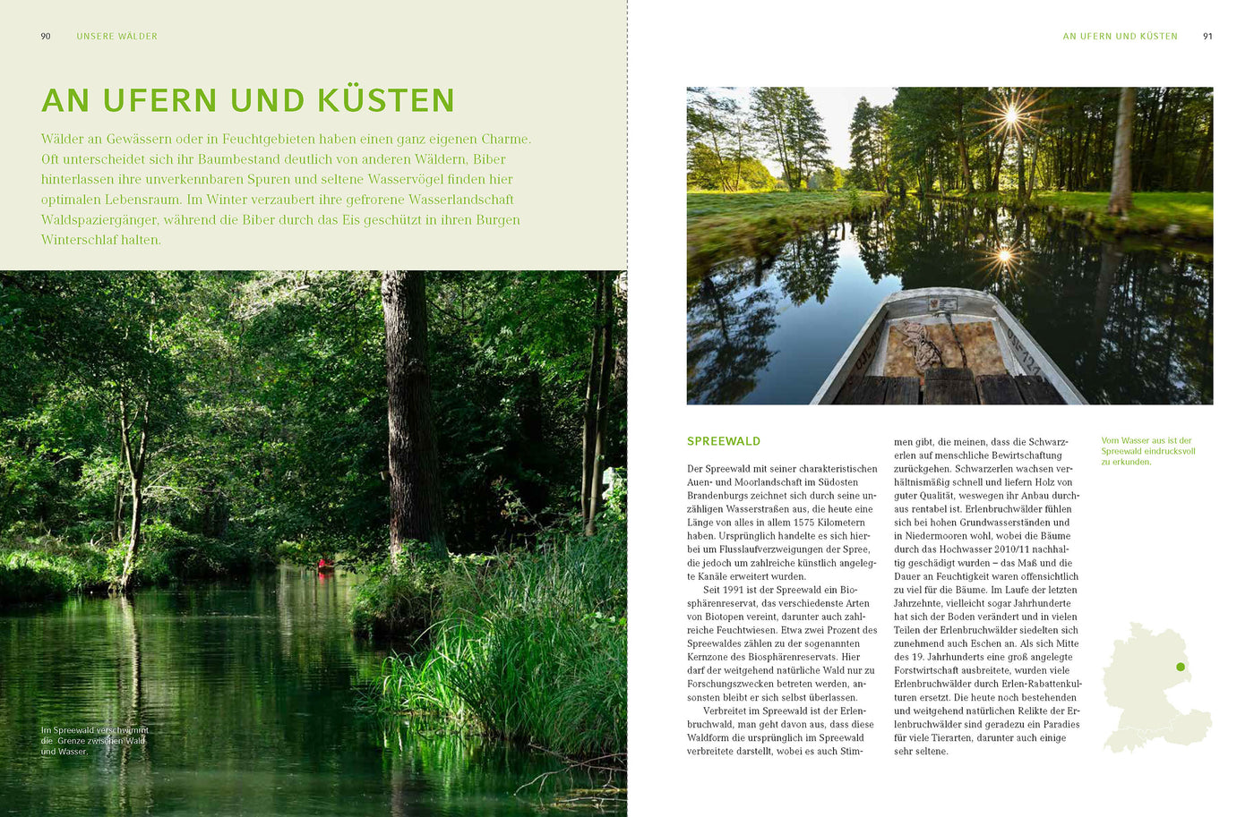Zauber und Schönheit unserer Wälder