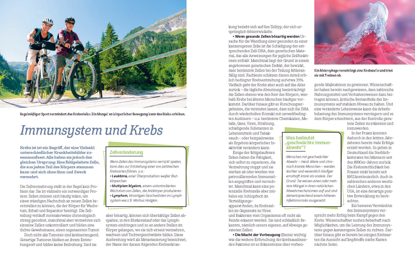 Was das Immunsystem stark macht