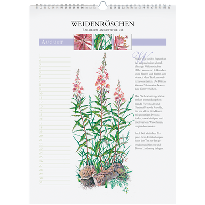 Immerwährender Wandkalender "Heilpflanzen unserer Heimat"