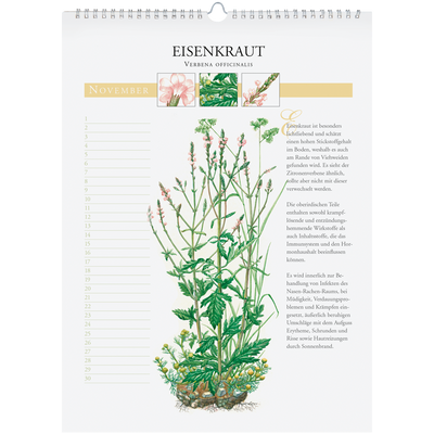 Immerwährender Wandkalender "Heilpflanzen unserer Heimat"
