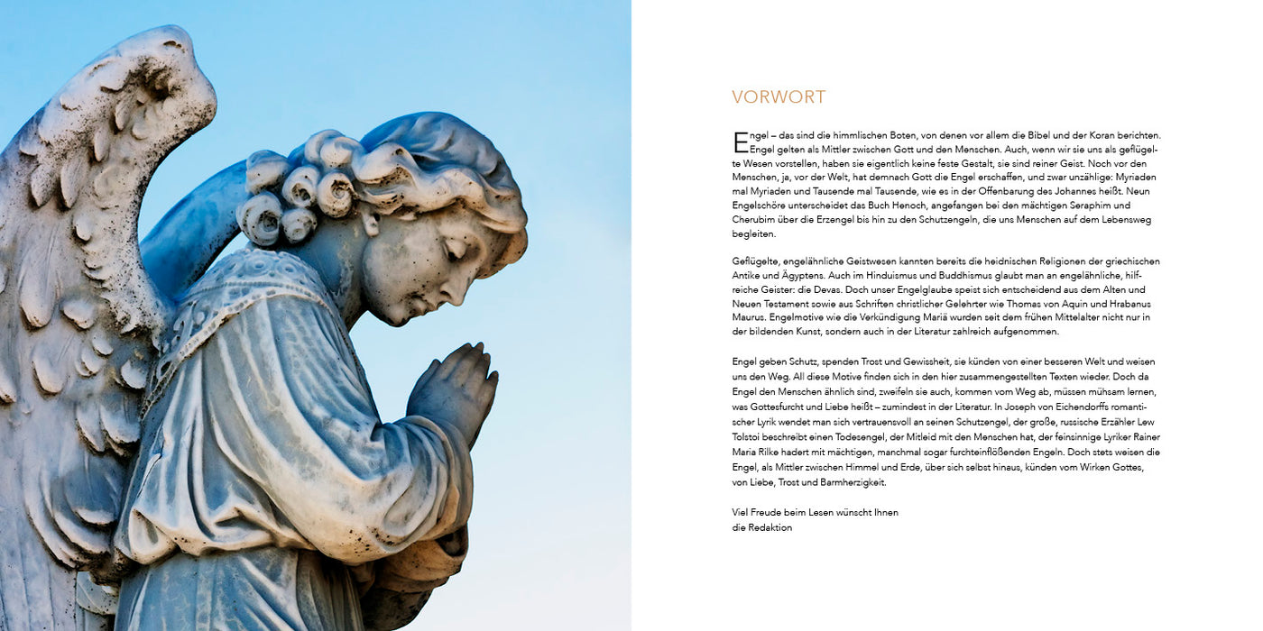 Von Engeln begleitet - Buch und Postkarten-Set