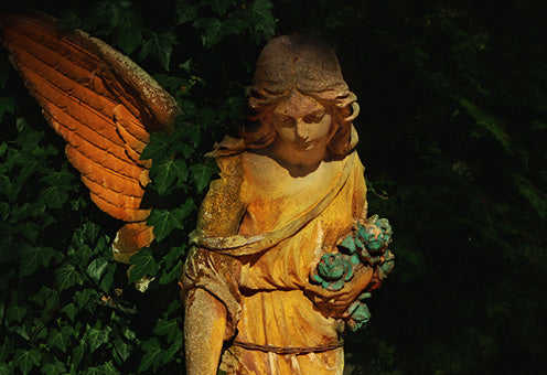 Von Engeln begleitet - Buch und Postkarten-Set