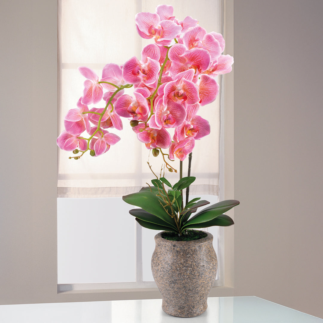 Orchidee »Pink« im Topf