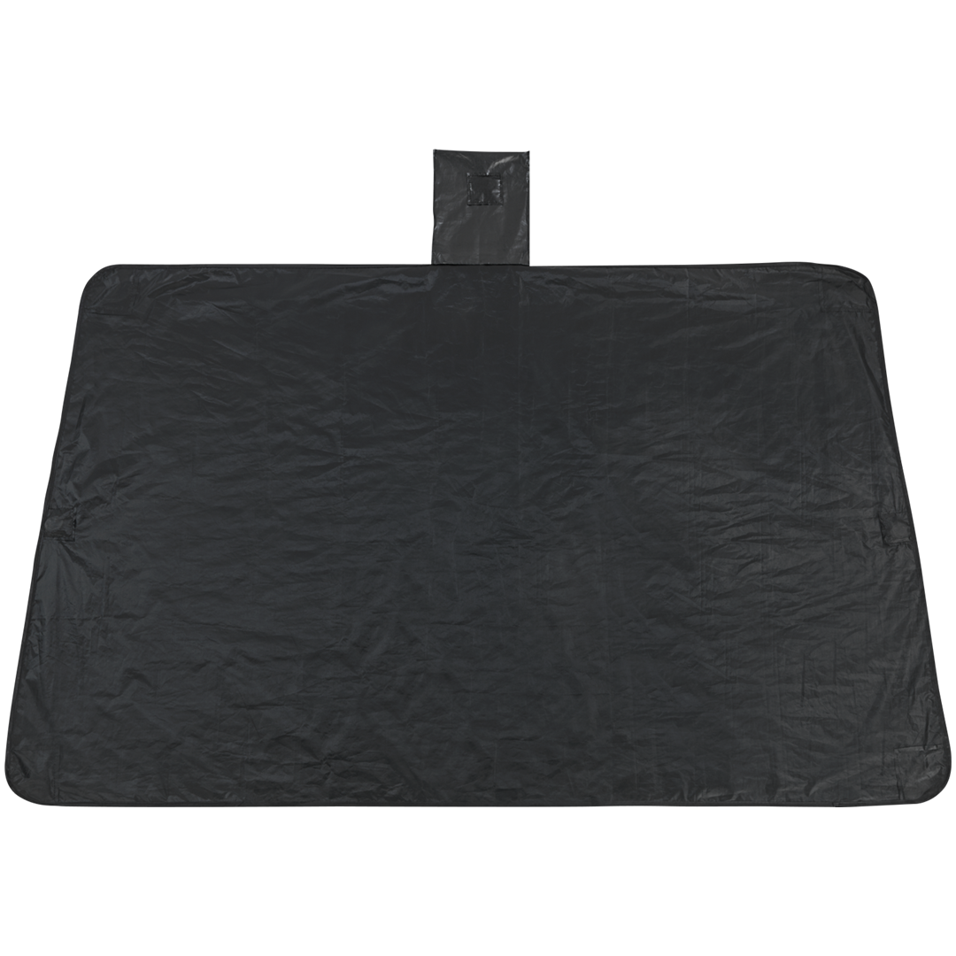 »Ice Free« Enteiser und Schutz