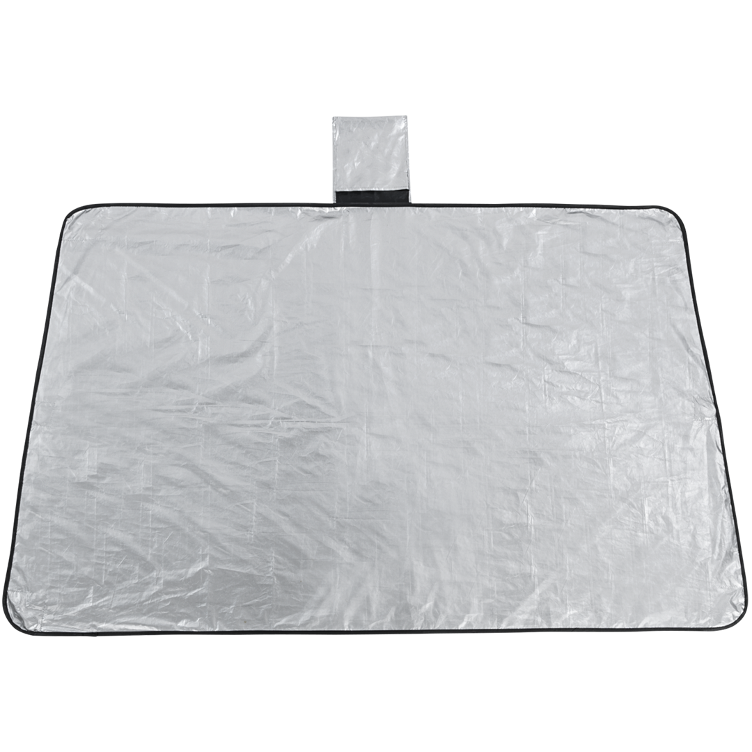 »Ice Free« Enteiser und Schutz