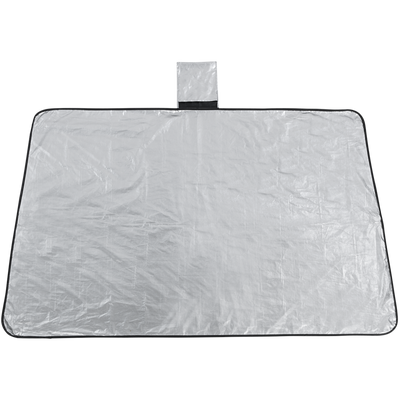 »Ice Free« Enteiser und Schutz