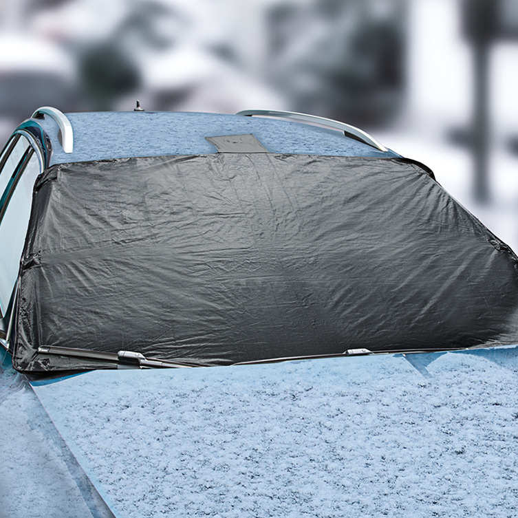 »Ice Free« Enteiser und Schutz