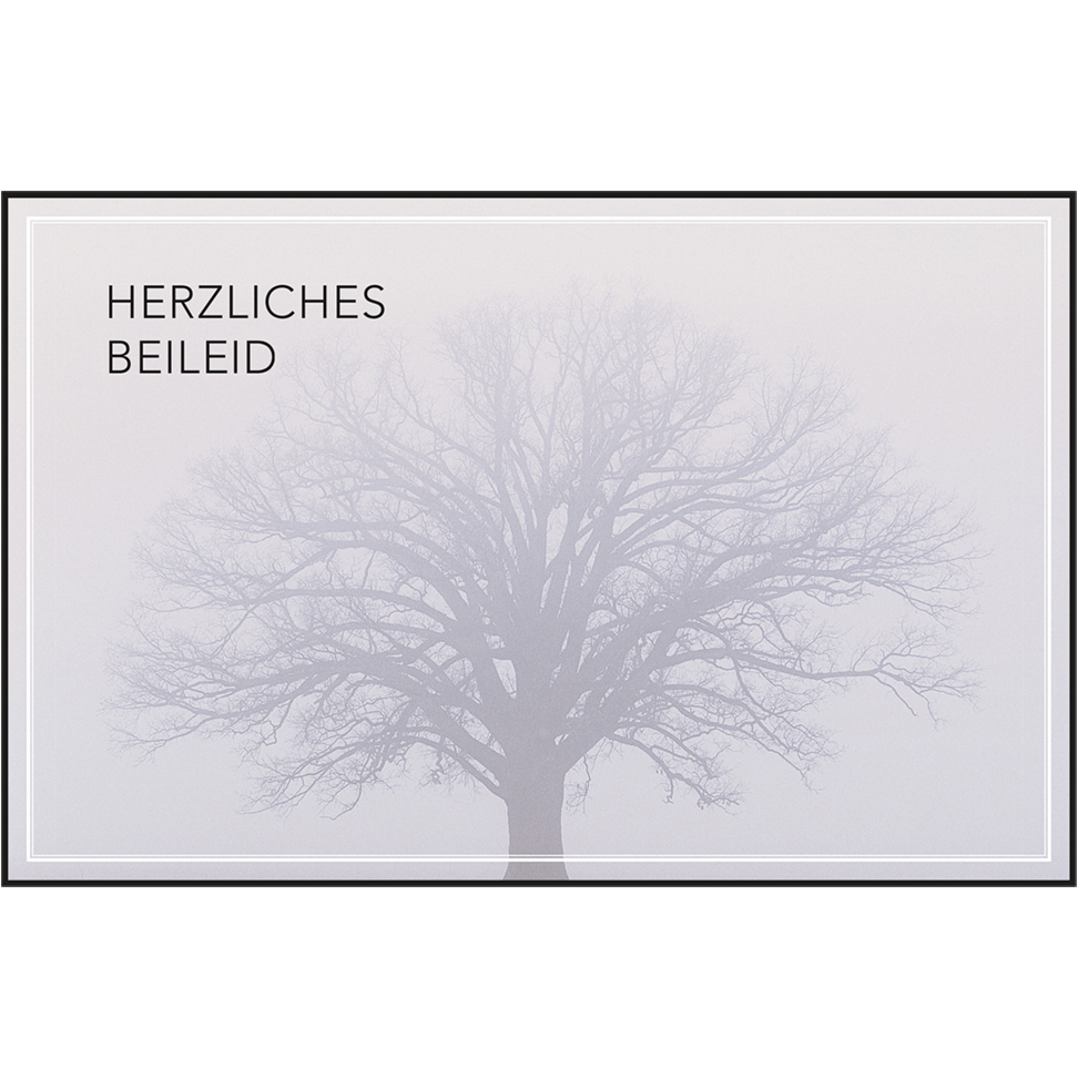 Trauerkarten-Set mit Buch