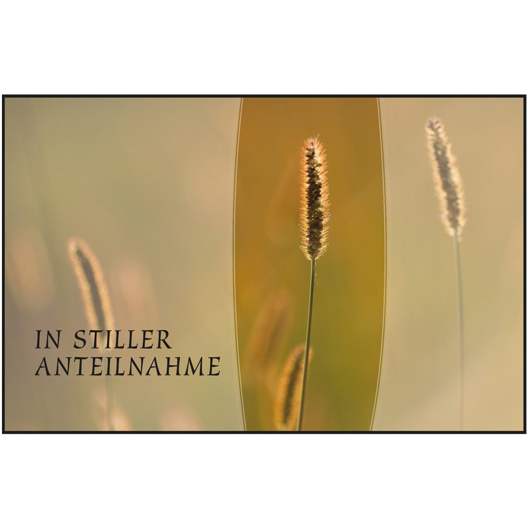 Trauerkarten-Set mit Buch