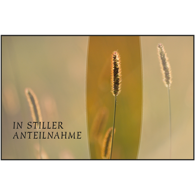 Trauerkarten-Set mit Buch