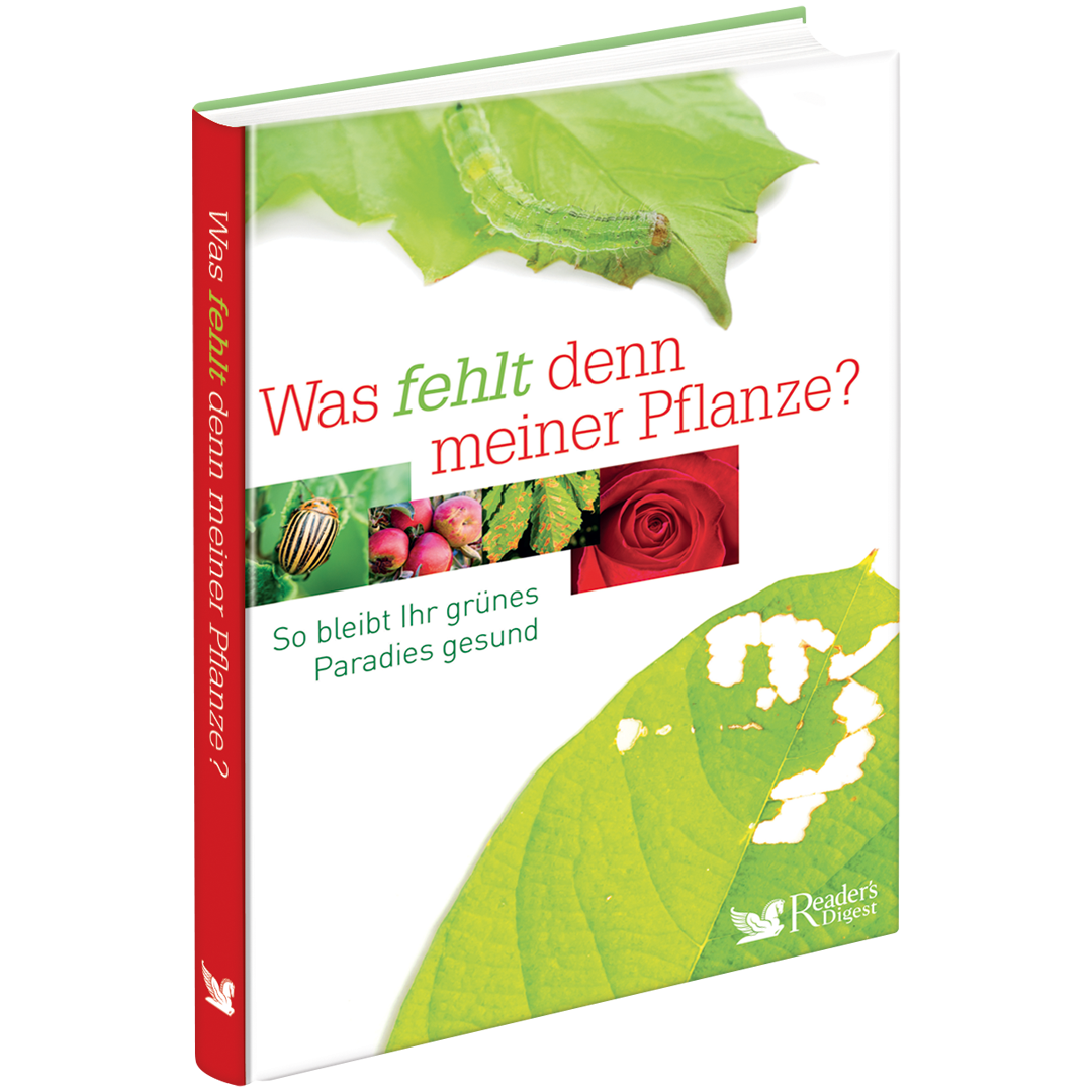 Pflanzen-Pflege 2er-Set