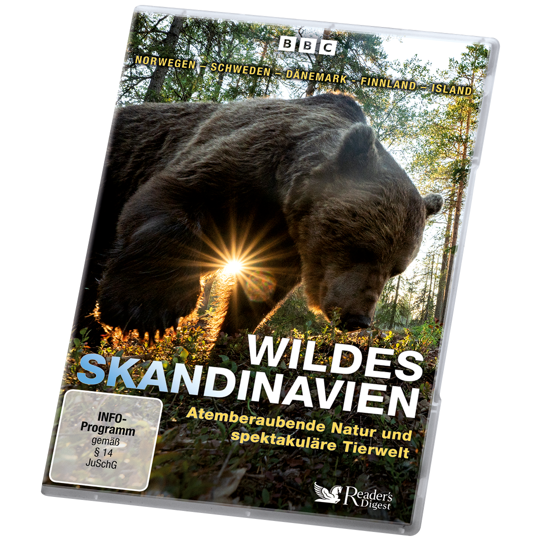 Wildes Skandinavien - Atemberaubende Natur und spektakuläre Tierwelt