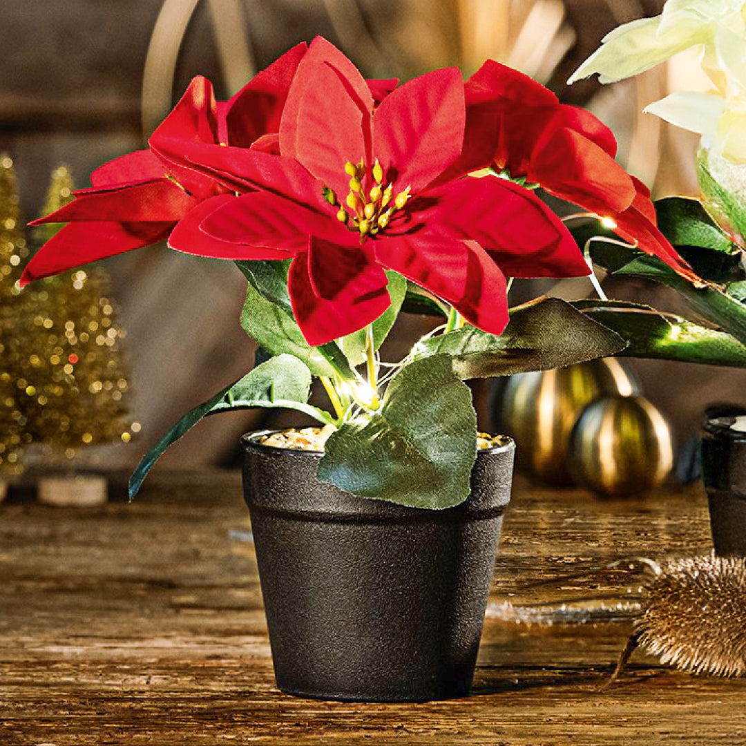 Weihnachtsstern mit LED-Lichtern