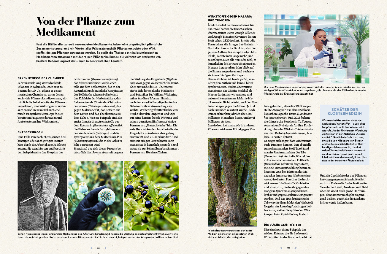 Das große Reader´s Digest Heilpflanzenbuch