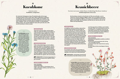 Das große Reader´s Digest Heilpflanzenbuch