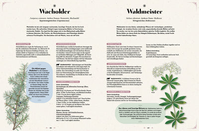 Das große Reader´s Digest Heilpflanzenbuch