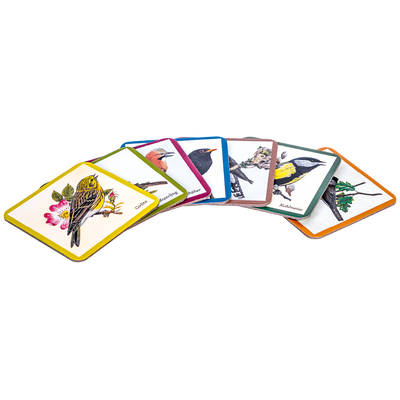 Die schönsten Vögel unserer Heimat - Das extragroße Memory