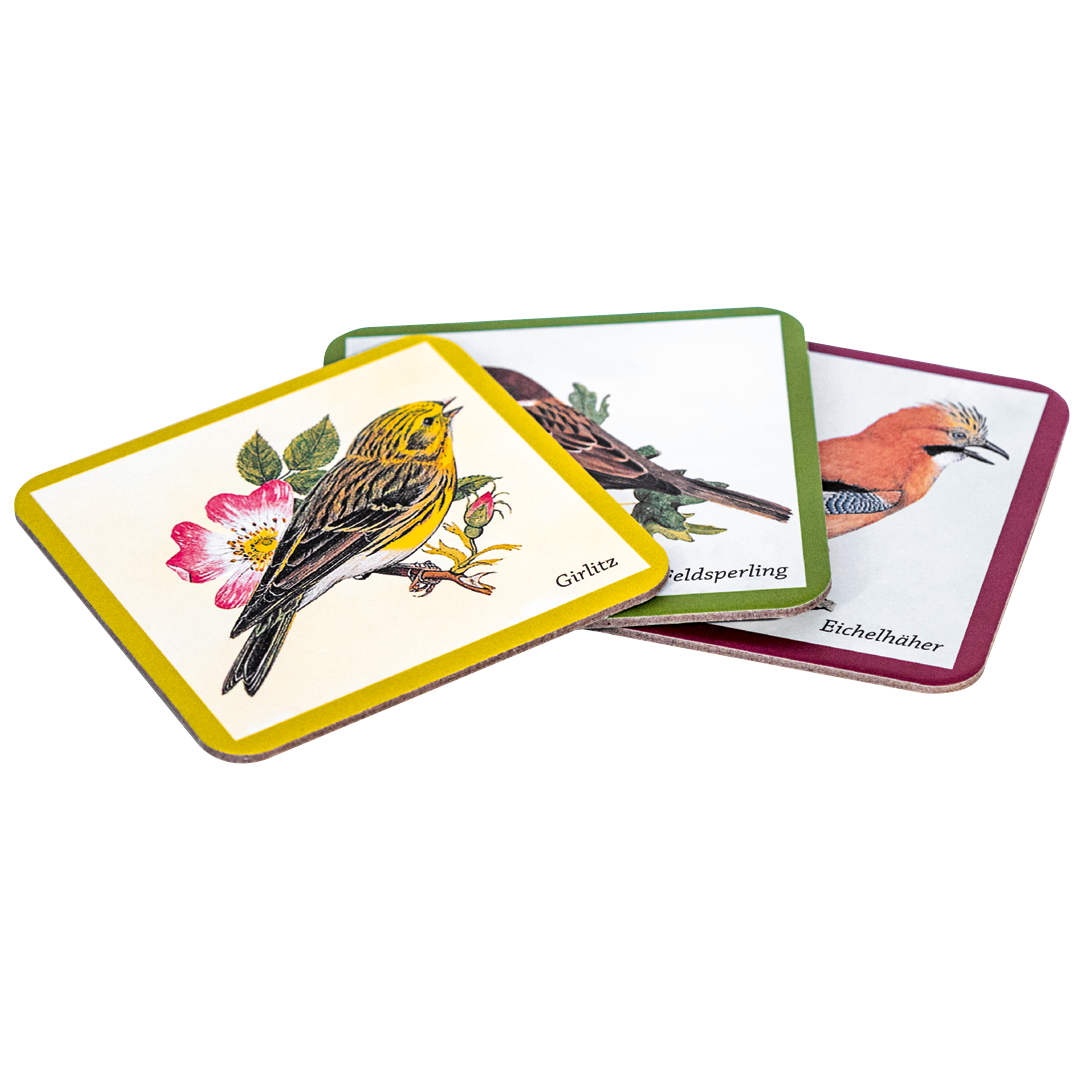 Die schönsten Vögel unserer Heimat - Das extragroße Memory