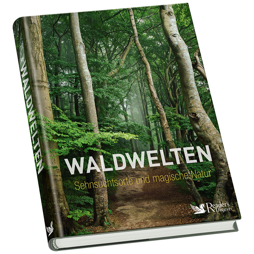 Eichhörnchen-Puzzle + Buch »Waldwelten« (2er-Set)