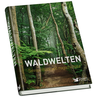 Eichhörnchen-Puzzle + Buch »Waldwelten« (2er-Set)