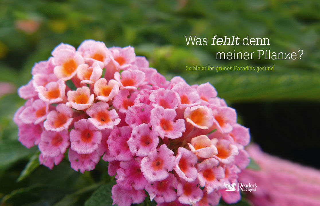 Was fehlt denn meiner Pflanze?