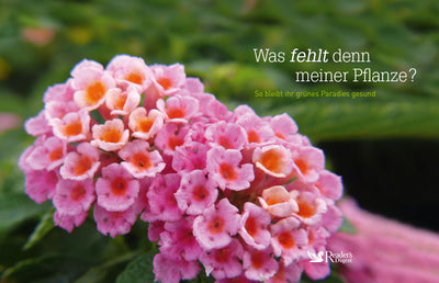 Was fehlt denn meiner Pflanze?