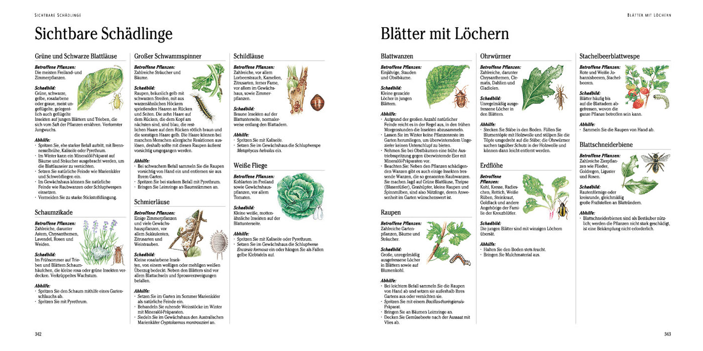 Die grünen Geheimnisse der Gärtner