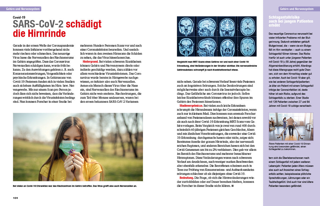 Das Neueste aus der Medizin 2023/2024