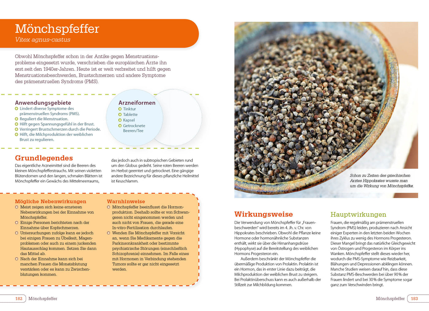 Vitamine, Mineralstoffe und Nahrungsergänzungsmittel