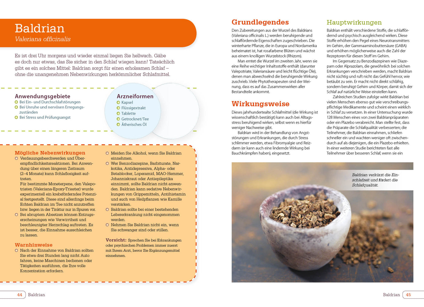 Vitamine, Mineralstoffe und Nahrungsergänzungsmittel