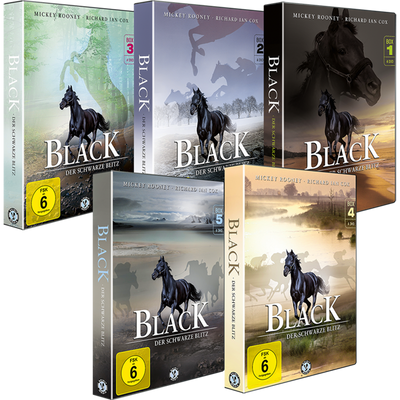 Black - Der schwarze Blitz: komplette Serie für Pferde-Fans und Fans des Reitsports