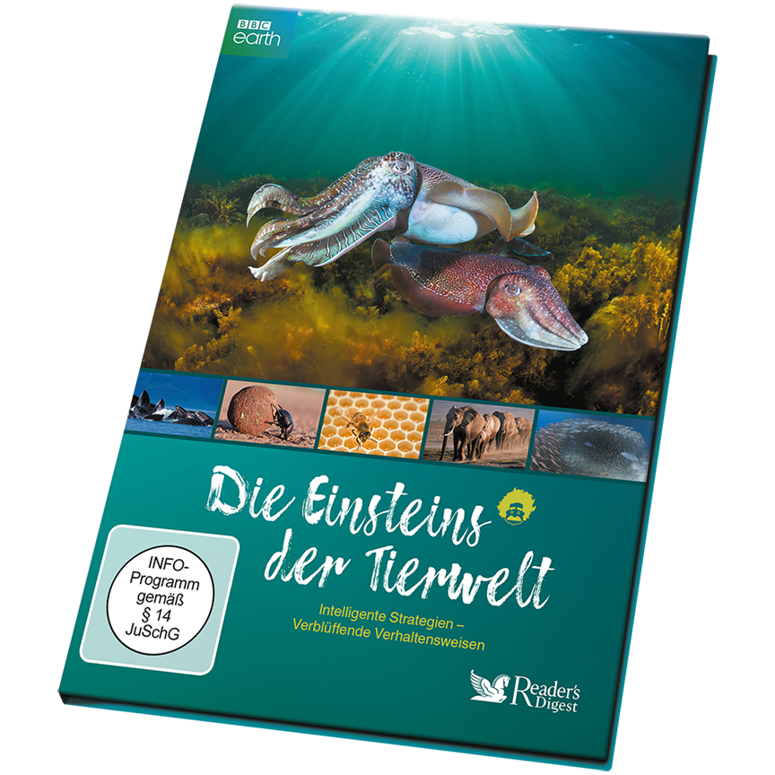 Die Einsteins der Tierwelt - Intelligente Strategien, verblüffende Verhaltensweisen