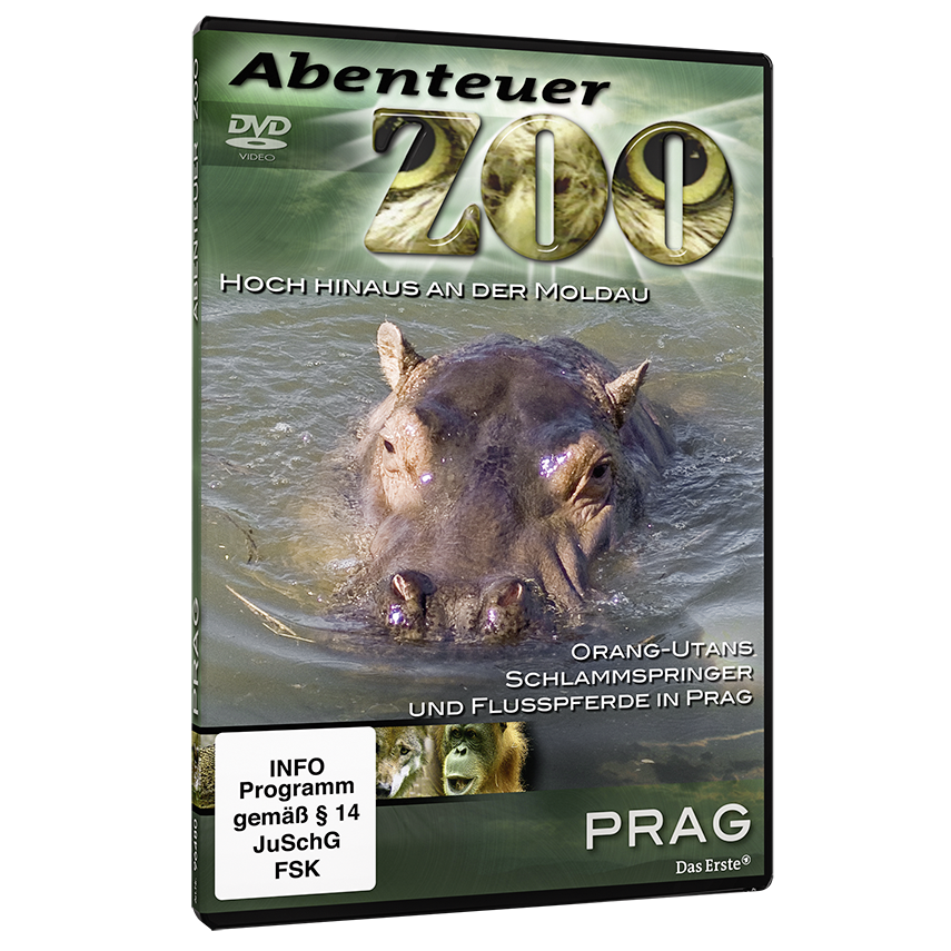 Abenteuer Zoo - Set